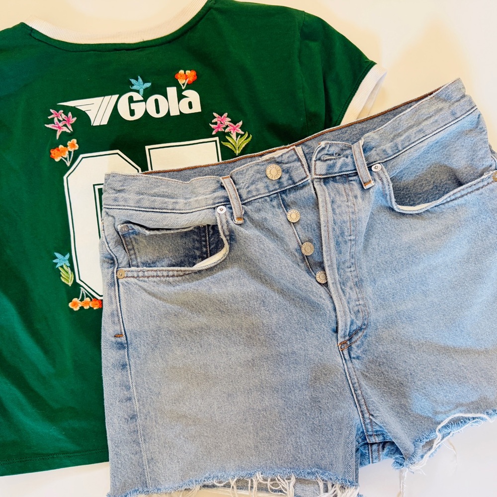 Agolde Light Blue Jean Shorts with button front